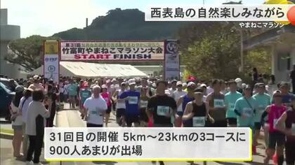 世界に誇る自然を楽しみながら　西表島やまねこマラソン