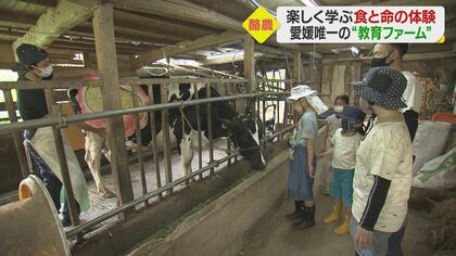 牛の乳しぼりやバターづくり…酪農体験できる“教育ファーム”　夢求めて1人で農場経営【愛媛発】