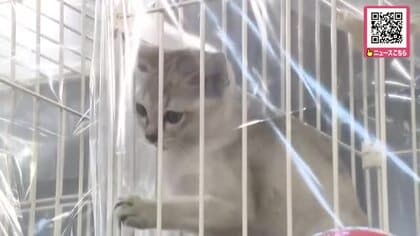 ドームで『北海道ペット＆ファミリーEXPO』動物を飼っている人だけではなくこれから飼いたい人も楽しめるイベント開催「わんちゃんと一緒に入れるイベントなので楽しめて嬉しい」_札幌市