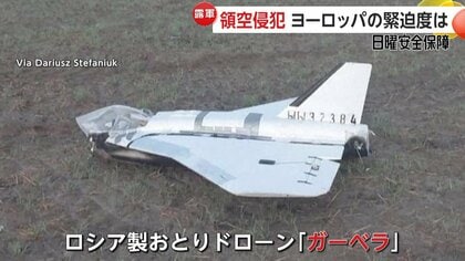 ロシア製おとりドローン「ガーベラ」をポーランドで撮影…NATOへ領空侵犯繰り返すロシアの目的は【日曜安全保障】