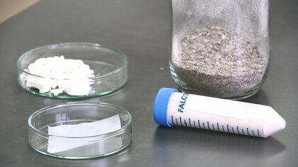 海で分解する海藻プラスチック”　廃棄するコンブから微生物が生成　岩手大が研究【岩手発】