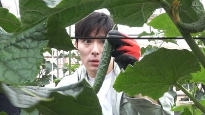 「んー！あまっ！」キュウリを丸かじり　石田嵩人知事が「ふくい園芸カレッジ」を視察　課題など把握へ農業者と意見交換