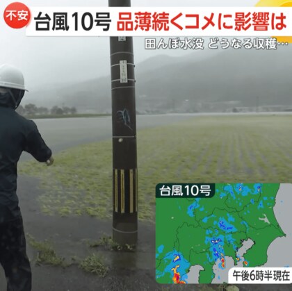 【台風10号】田んぼ水没…品薄続く米の収穫に影響「時間は倍くらいかかる」大根、ジャガイモ、ピーマン、ほうれん草も更に値上げ
