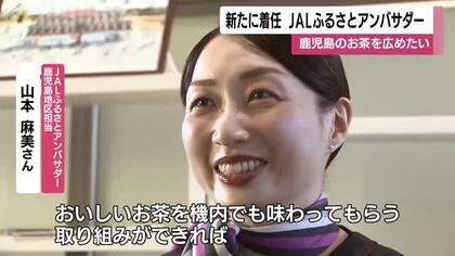 「鹿児島のお茶をもっと広めたい」　新たなＪＡＬふるさとアンバサダーが抱負　地域活性化の活動に取り組む