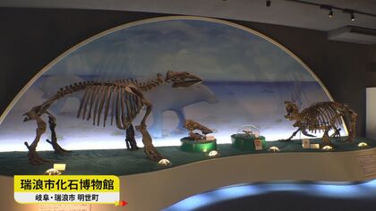 採集体験では学芸員も「ちょっとビックリ」…全国でも珍しい『化石の