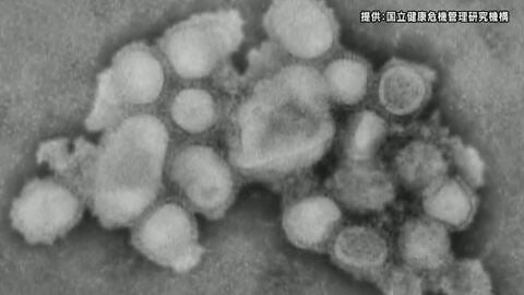 インフルエンザ微増　長野県が感染予防呼びかけ