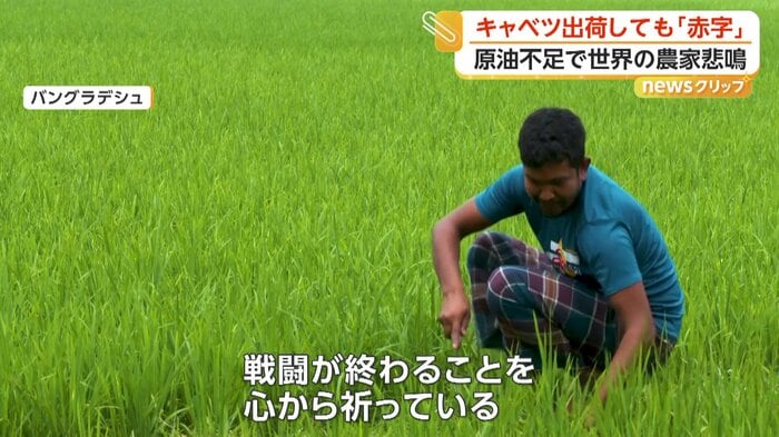 切実な願いを語る米農家の男性