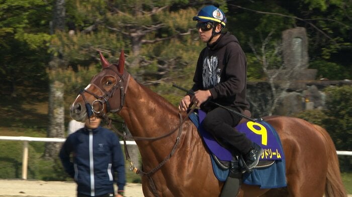 最終追い切りに臨むビザンチンドリーム