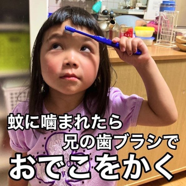 蚊に噛まれたら兄のブラシでおでこをかく(提供:かいさん)