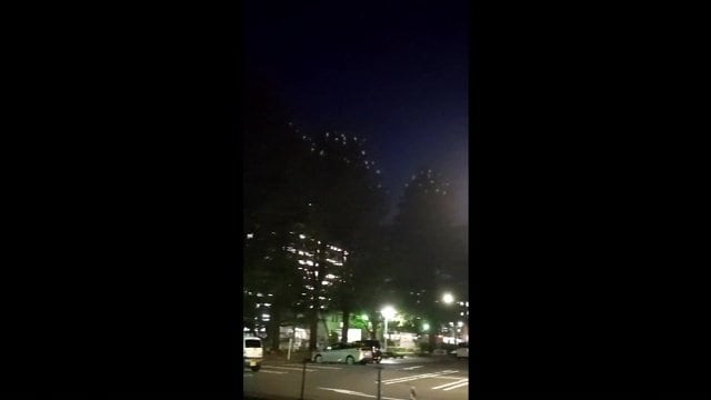 12月4日視聴者撮影 白い点に見えるのが体長90センチほどの鳥