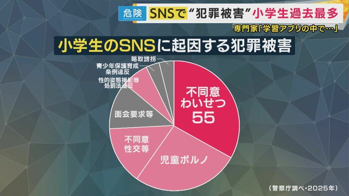小学生のSNSに起因する犯罪被害