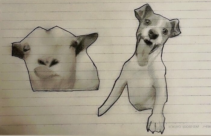 お気に入りの作品「猫じゃないミーム」(提供:あぱる。とさん)