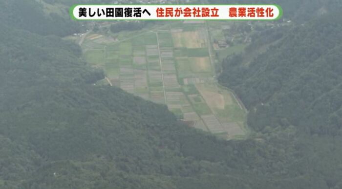 伊東市池地区 田植えをした緑の区画は少ない