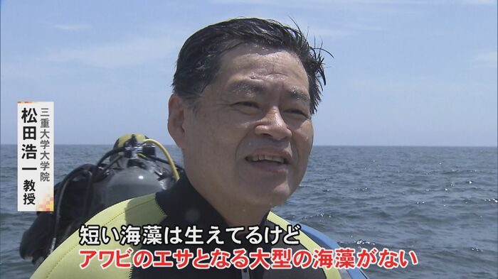 ニュースONE