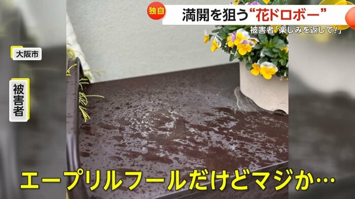 (視聴者提供)