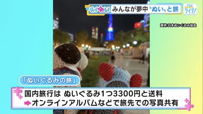 旅先での写真を共有（提供：日本ぬいぐるみ協会）