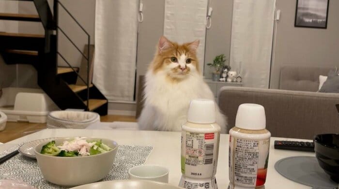 提供:ぽてこゆこめ+うなさん