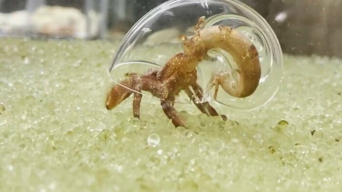 後方から見るとこんな感じ