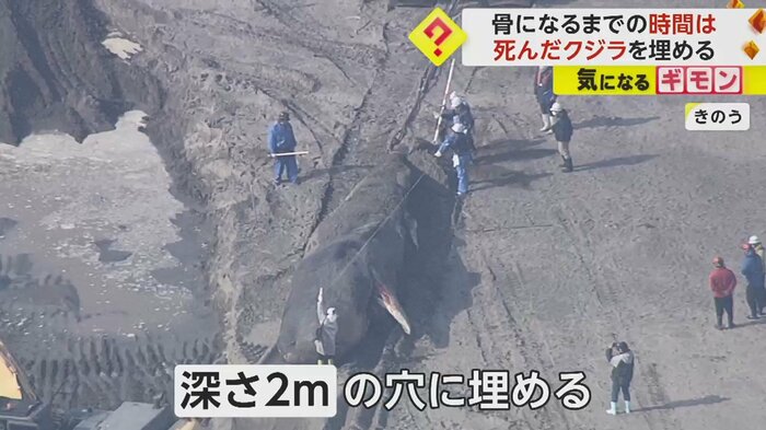 体の中にたまったガスを抜く処理をしてから