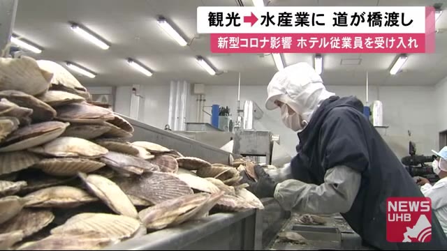 「ホテルからホタテ」へ…コロナ仕事減った従業員が人手不足の水産加工場で