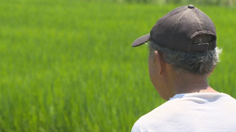 相互関税15％で“日米合意” 専門家は「悪くはない水準」も影響注視 農家は米輸入拡大による“価格競争”懸念「我々にしてみれば不安」新潟｜FNNプライムオンライン