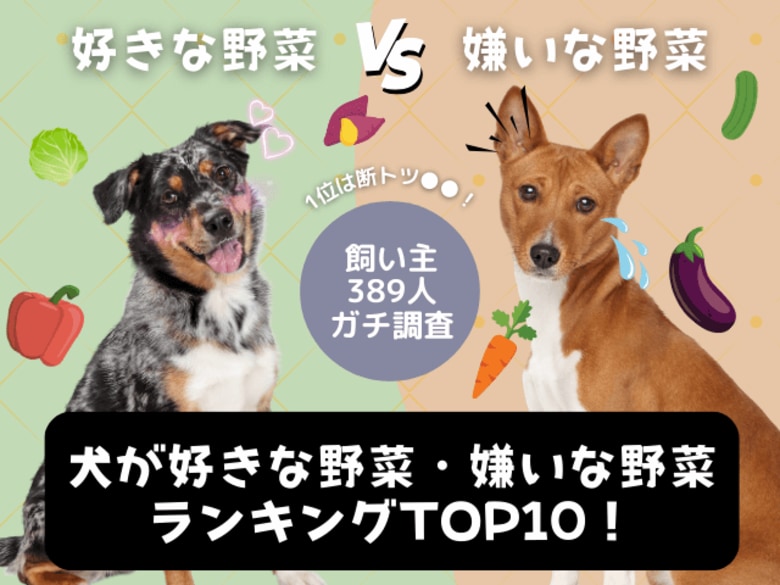【飼い主389人に調査】犬が好きな野菜No.1は断トツ●●だった！嫌いな野菜ランキングも公開