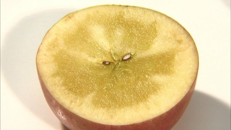 ほとんど蜜！ 日本一高価な「幻のリンゴ」　小ぶりであまり赤くないのに3kgで3万円…そのお味は？【福島発】