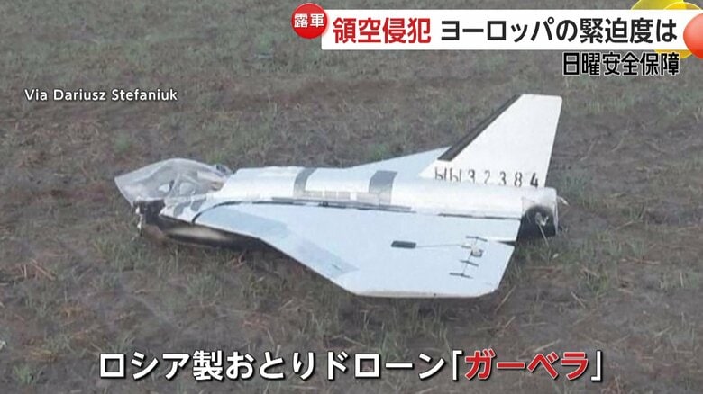 ロシア製おとりドローン「ガーベラ」をポーランドで撮影…NATOへ領空侵犯繰り返すロシアの目的は【日曜安全保障】｜FNNプライムオンライン