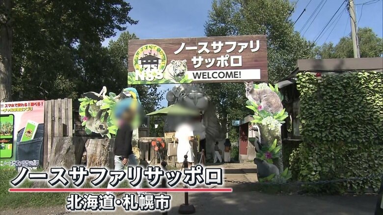 “日本一危険な動物園”「ノースサファリ サッポロ」が閉園危機　札幌市「違反状態がどんどん増えている」建物撤去の“除却命令”の可能性｜FNNプライムオンライン