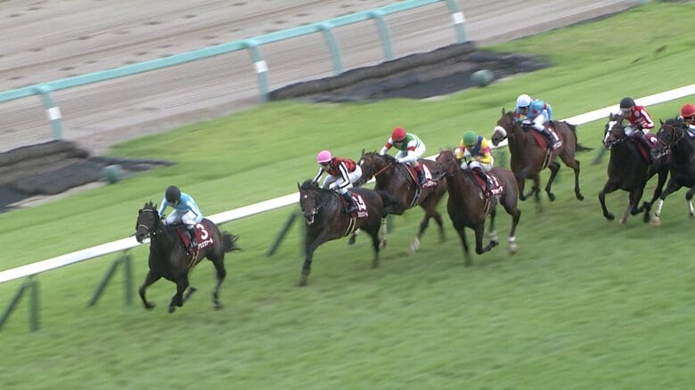 【オールカマー＆神戸新聞杯】有馬記念覇者レガレイラvsドゥラドーレスの兄妹対決が実現！菊花賞トライアルにはダービー好走組が集結！｜FNNプライムオンライン