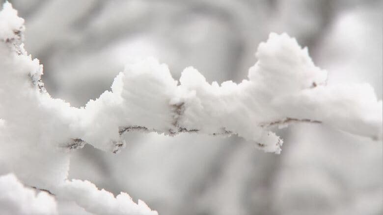 雪化粧 一気に冬景色 群馬との県境の渋峠 長野・山ノ内町|FNNプライムオンライン