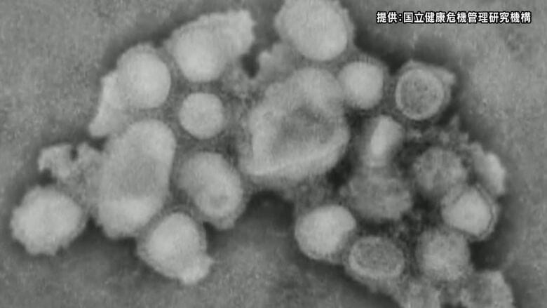 インフルエンザ患者が2週連続で増加　長野県が感染対策を呼びかけ｜FNNプライムオンライン