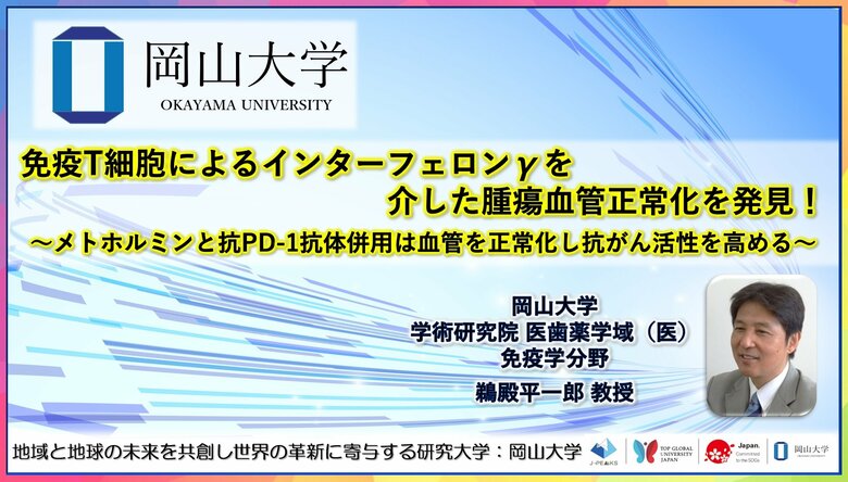 【岡山大学】免疫T細胞によるインターフェロンγを介した腫瘍血管正常化を発見!~メトホルミンと抗PD-1抗体併用は血管を正常化し抗がん活性を高める~