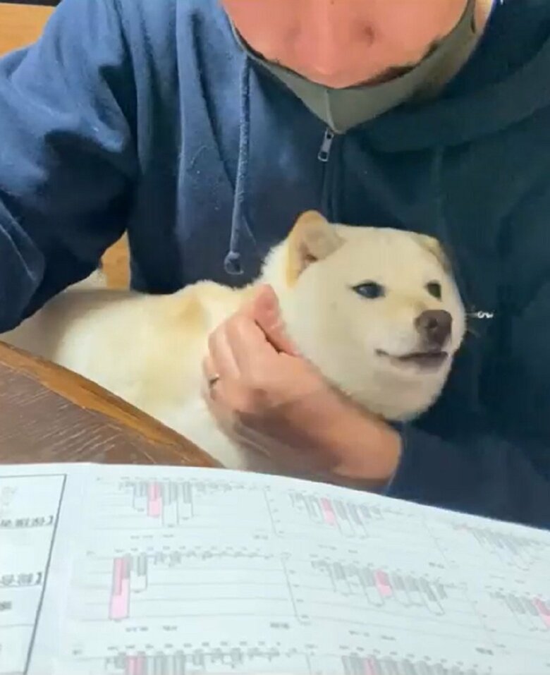 首元をワシャワシャとなでられている