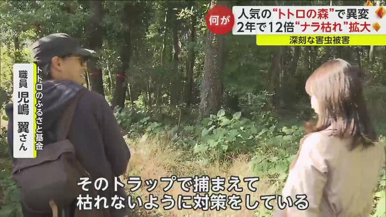 対策を続ける「トトロのふるさと基金」職員の児嶋翼さん