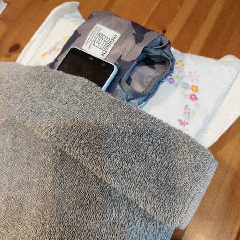 携帯を寝かしつけていたという