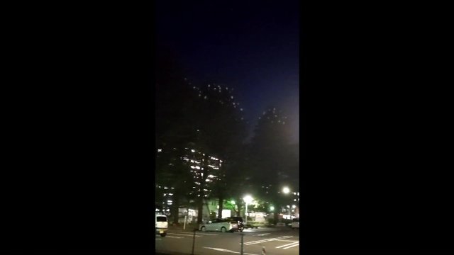 12月4日視聴者撮影　白い点に見えるのが体長90センチほどの鳥