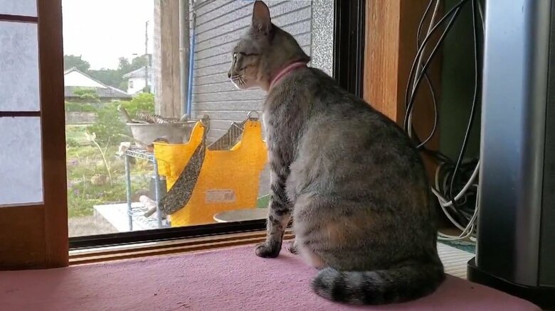 知らない人が来たときも反応する