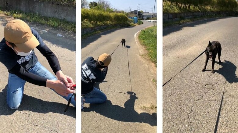 これ以上進みたくないななちゃんとさだきちさんの攻防