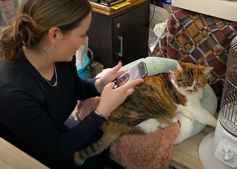 海外のお客さんにも大人気