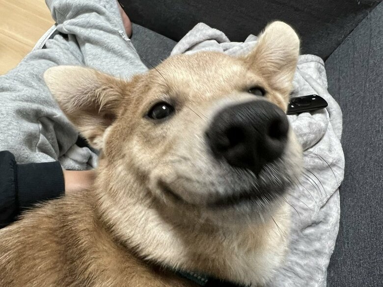 にっこり顔のあさぎちゃん