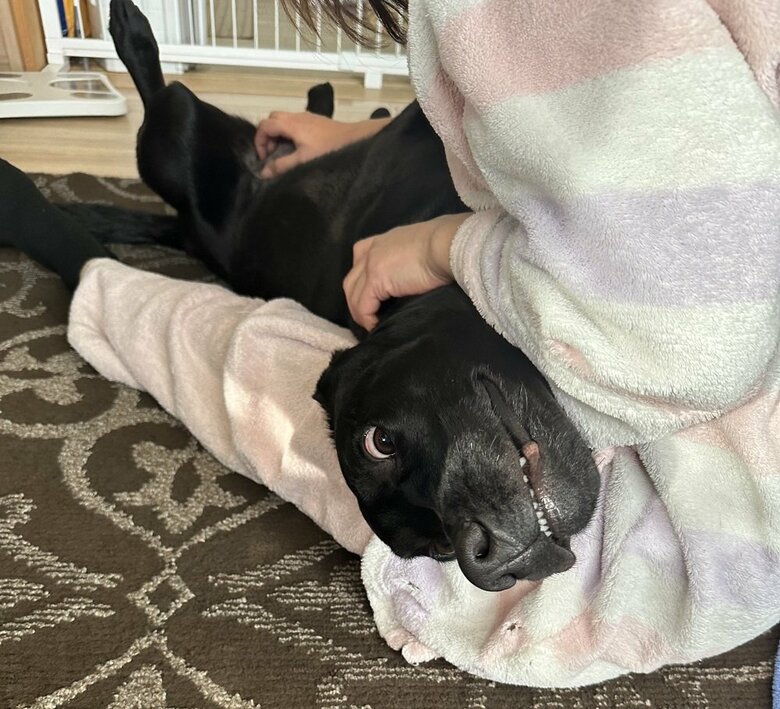 おなかをなでられてきもちいい…