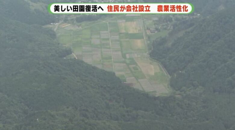 伊東市池地区　田植えをした緑の区画は少ない