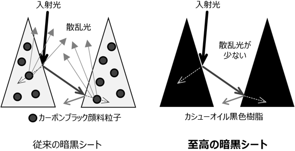 （産業技術総合研究所 提供※Science Advances誌の論文（https://doi.org/10.1126/sciadv.ade4853）に掲載された図を改変。クリエイティブ・コモンズ・ライセンス（表示4.0国際））
