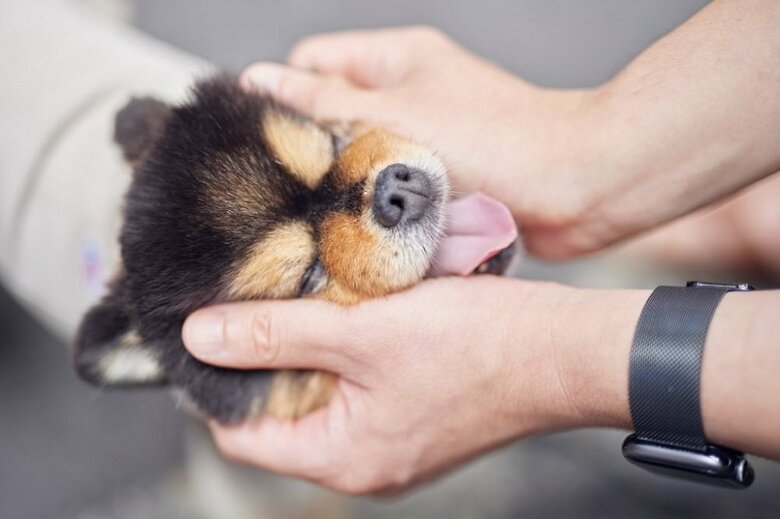 顔をくしゃっとされる