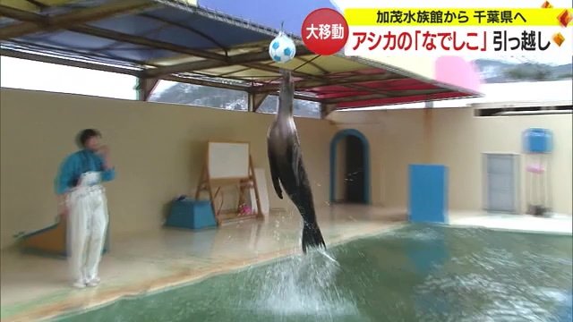 ユニフォームを着て芸を披露