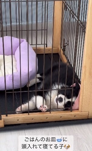 実はこれまでにも同じような現象が…