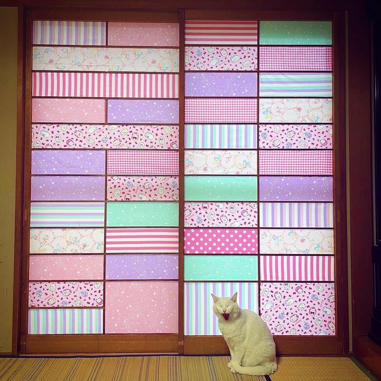 提供：絵子猫さん