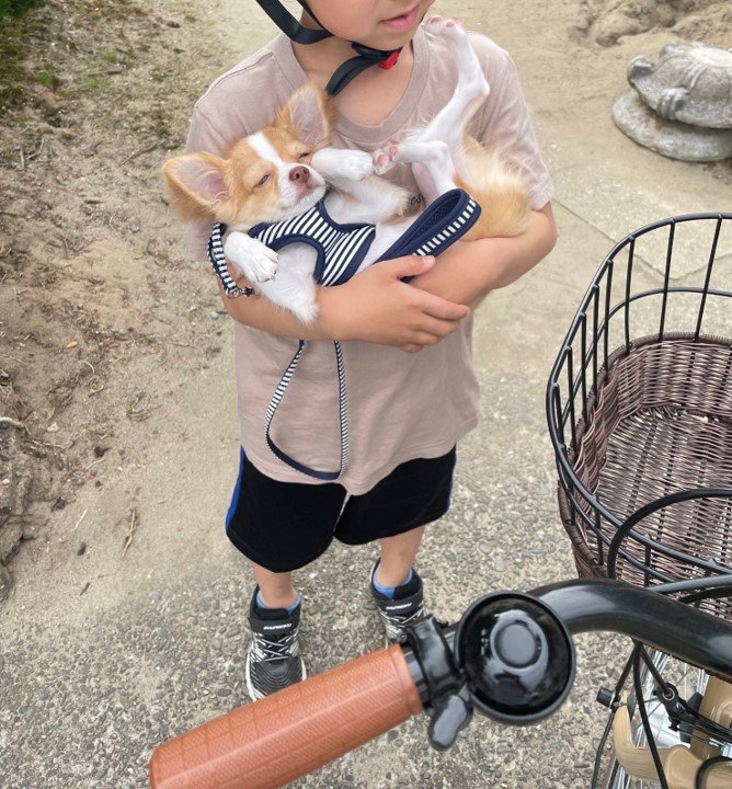 提供：ふくのすけさん