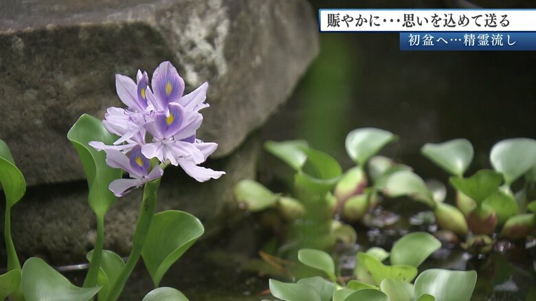 自宅の庭いじりが好きだった